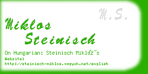 miklos steinisch business card